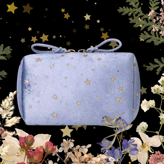 Juliet Velvet Star Bag